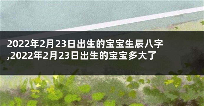 2022年2月23日出生的宝宝生辰八字,2022年2月23日出生的宝宝多大了