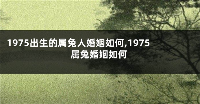 1975出生的属兔人婚姻如何,1975属兔婚姻如何