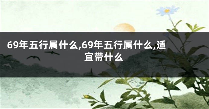 69年五行属什么,69年五行属什么,适宜带什么