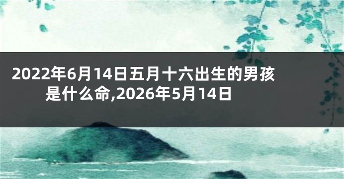 2022年6月14日五月十六出生的男孩是什么命,2026年5月14日