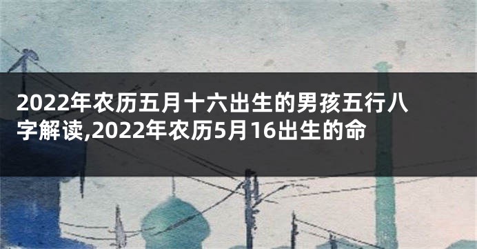 2022年农历五月十六出生的男孩五行八字解读,2022年农历5月16出生的命