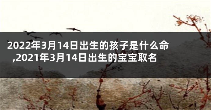 2022年3月14日出生的孩子是什么命,2021年3月14日出生的宝宝取名