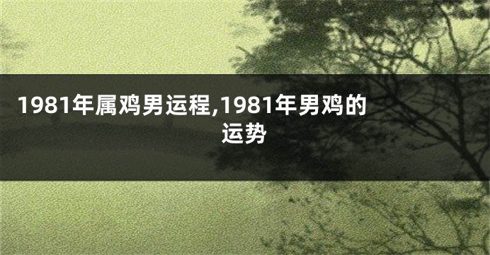 1981年属鸡男运程,1981年男鸡的运势