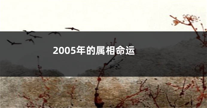 2005年的属相命运