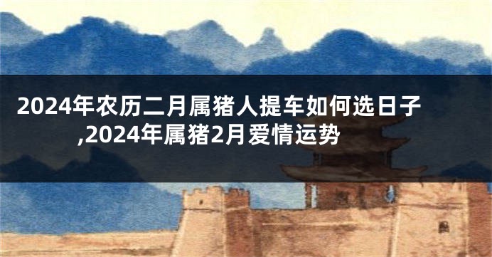 2024年农历二月属猪人提车如何选日子,2024年属猪2月爱情运势