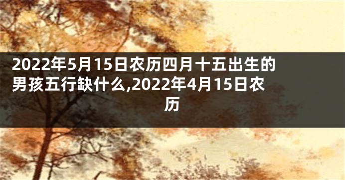 2022年5月15日农历四月十五出生的男孩五行缺什么,2022年4月15日农历