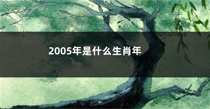 2005年是什么生肖年