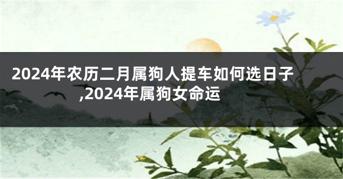 2024年农历二月属狗人提车如何选日子,2024年属狗女命运
