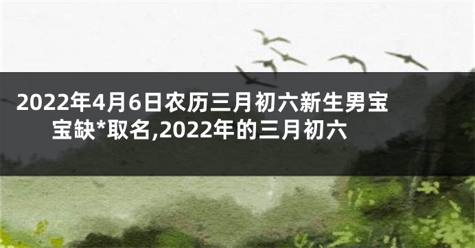 2022年4月6日农历三月初六新生男宝宝缺*取名,2022年的三月初六