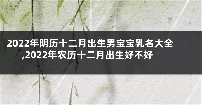 2022年阴历十二月出生男宝宝乳名大全,2022年农历十二月出生好不好