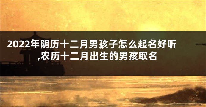 2022年阴历十二月男孩子怎么起名好听,农历十二月出生的男孩取名