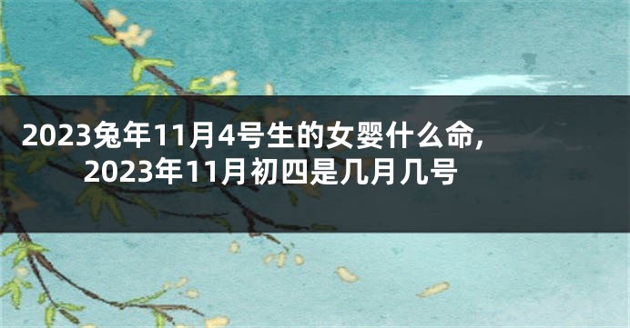 2023兔年11月4号生的女婴什么命,2023年11月初四是几月几号