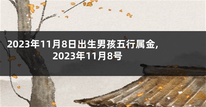 2023年11月8日出生男孩五行属金,2023年11月8号