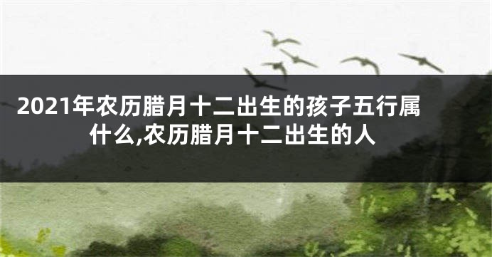 2021年农历腊月十二出生的孩子五行属什么,农历腊月十二出生的人