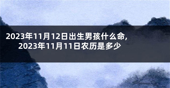 2023年11月12日出生男孩什么命,2023年11月11日农历是多少