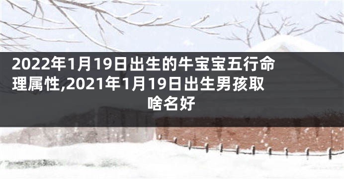 2022年1月19日出生的牛宝宝五行命理属性,2021年1月19日出生男孩取啥名好