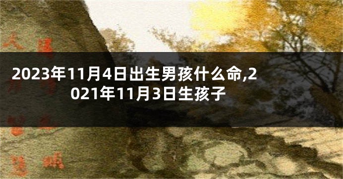 2023年11月4日出生男孩什么命,2021年11月3日生孩子