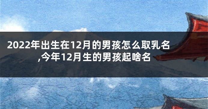 2022年出生在12月的男孩怎么取乳名,今年12月生的男孩起啥名