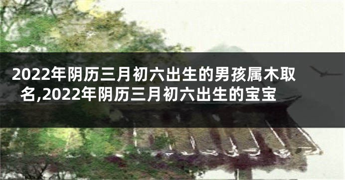 2022年阴历三月初六出生的男孩属木取名,2022年阴历三月初六出生的宝宝