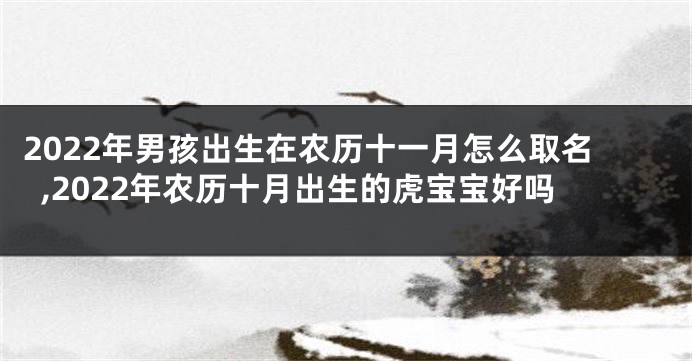 2022年男孩出生在农历十一月怎么取名,2022年农历十月出生的虎宝宝好吗