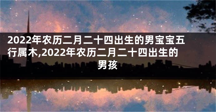 2022年农历二月二十四出生的男宝宝五行属木,2022年农历二月二十四出生的男孩