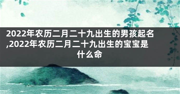 2022年农历二月二十九出生的男孩起名,2022年农历二月二十九出生的宝宝是什么命