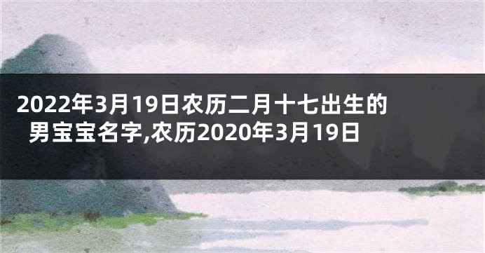 2022年3月19日农历二月十七出生的男宝宝名字,农历2020年3月19日