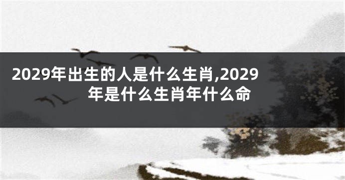 2029年出生的人是什么生肖,2029年是什么生肖年什么命