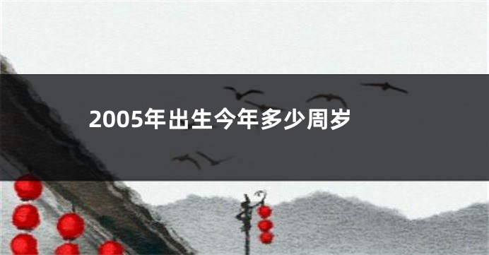 2005年出生今年多少周岁