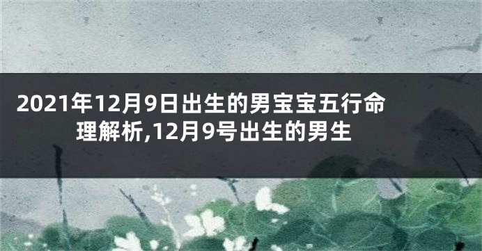 2021年12月9日出生的男宝宝五行命理解析,12月9号出生的男生