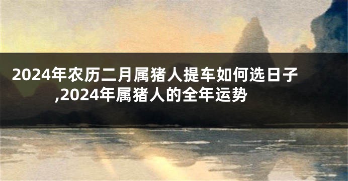 2024年农历二月属猪人提车如何选日子,2024年属猪人的全年运势