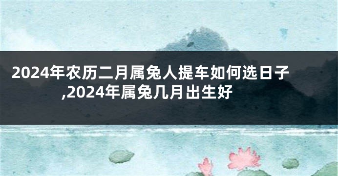 2024年农历二月属兔人提车如何选日子,2024年属兔几月出生好