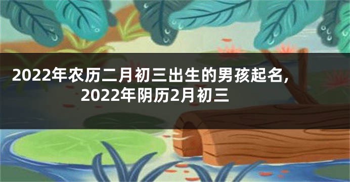 2022年农历二月初三出生的男孩起名,2022年阴历2月初三