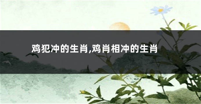 鸡犯冲的生肖,鸡肖相冲的生肖