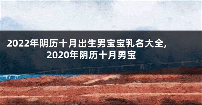 2022年阴历十月出生男宝宝乳名大全,2020年阴历十月男宝