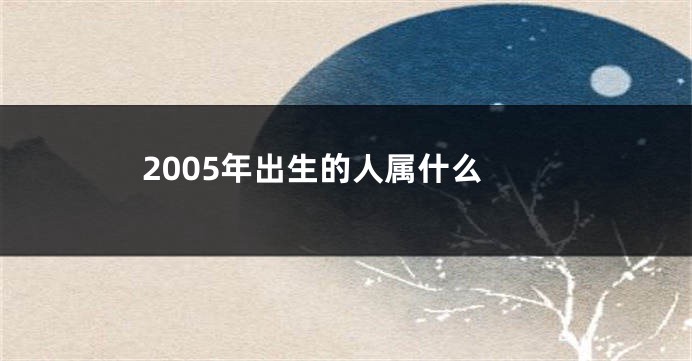 2005年出生的人属什么