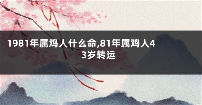 1981年属鸡人什么命,81年属鸡人43岁转运