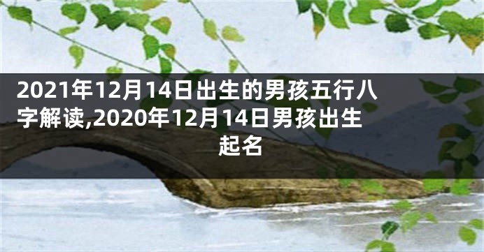 2021年12月14日出生的男孩五行八字解读,2020年12月14日男孩出生起名