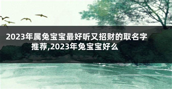 2023年属兔宝宝最好听又招财的取名字推荐,2023年兔宝宝好么