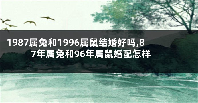 1987属兔和1996属鼠结婚好吗,87年属兔和96年属鼠婚配怎样