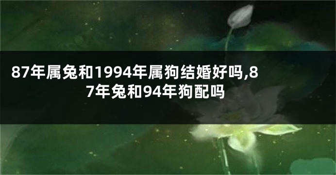 87年属兔和1994年属狗结婚好吗,87年兔和94年狗配吗
