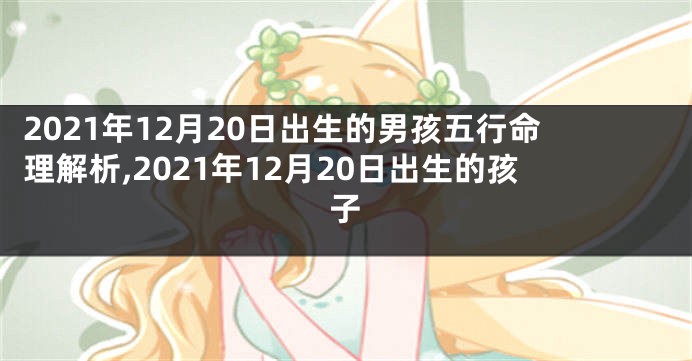 2021年12月20日出生的男孩五行命理解析,2021年12月20日出生的孩子