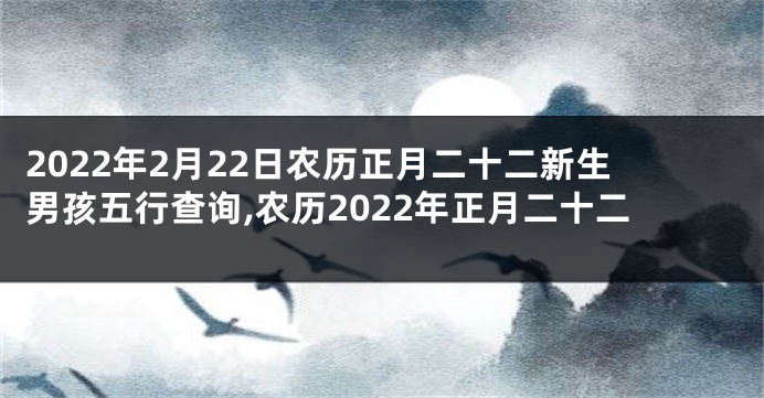 2022年2月22日农历正月二十二新生男孩五行查询,农历2022年正月二十二