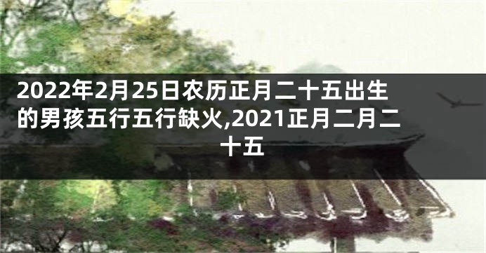 2022年2月25日农历正月二十五出生的男孩五行五行缺火,2021正月二月二十五
