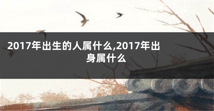 2017年出生的人属什么,2017年出身属什么