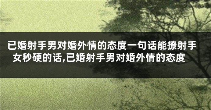 已婚射手男对婚外情的态度一句话能撩射手女秒硬的话,已婚射手男对婚外情的态度