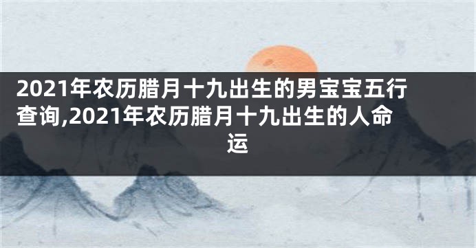 2021年农历腊月十九出生的男宝宝五行查询,2021年农历腊月十九出生的人命运