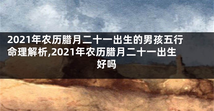 2021年农历腊月二十一出生的男孩五行命理解析,2021年农历腊月二十一出生好吗