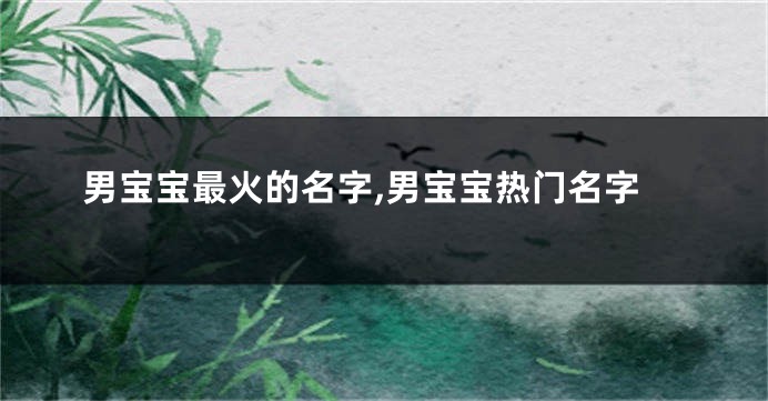 男宝宝最火的名字,男宝宝热门名字