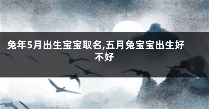 兔年5月出生宝宝取名,五月兔宝宝出生好不好